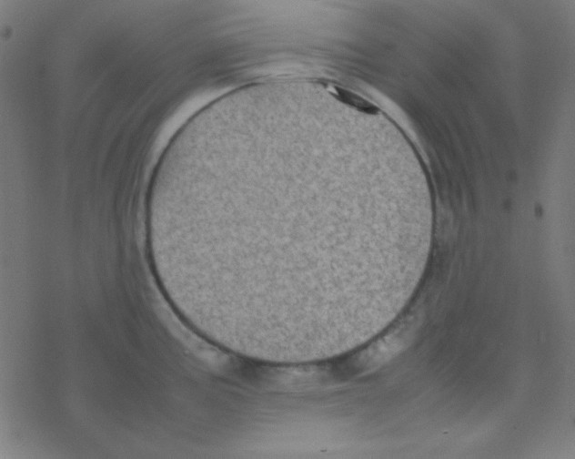 X0000077381195200611101721