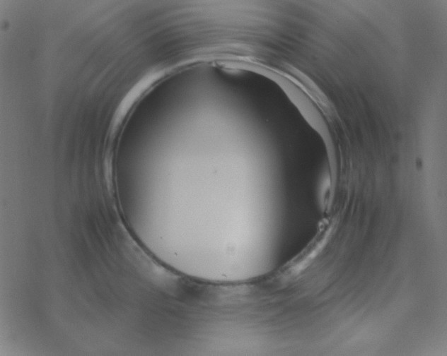 X0000077381196200611101721