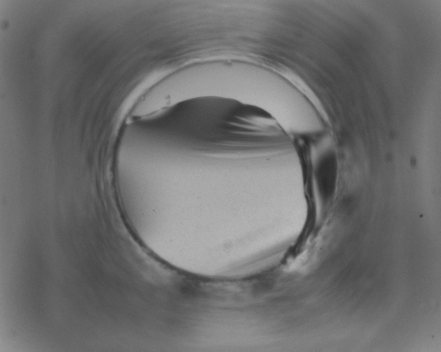 X0000077381197200611101721