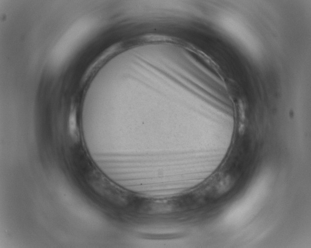 X0000077381198200611101721