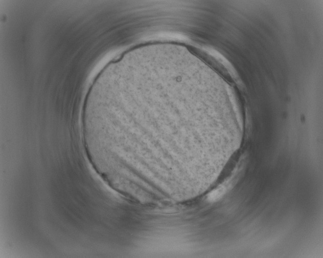 X0000077381199200611101721