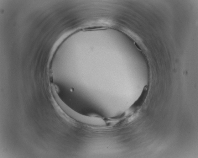 X0000077381200200611101721