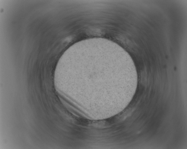 X0000077381201200611101721