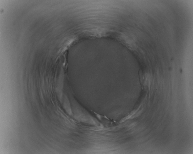 X0000077381202200611101721