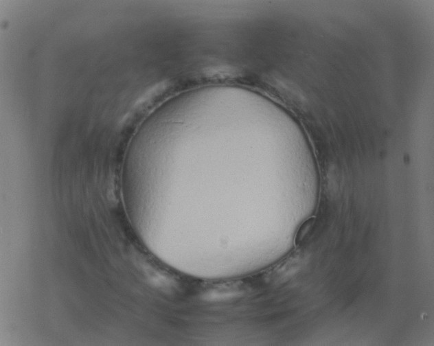 X0000077381205200611101721