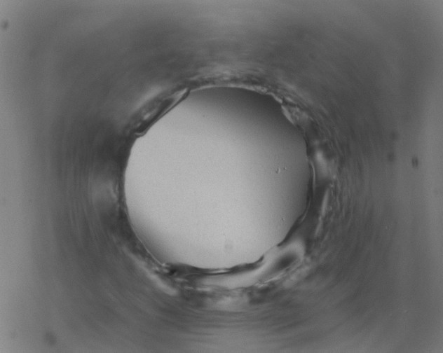 X0000077381206200611101721