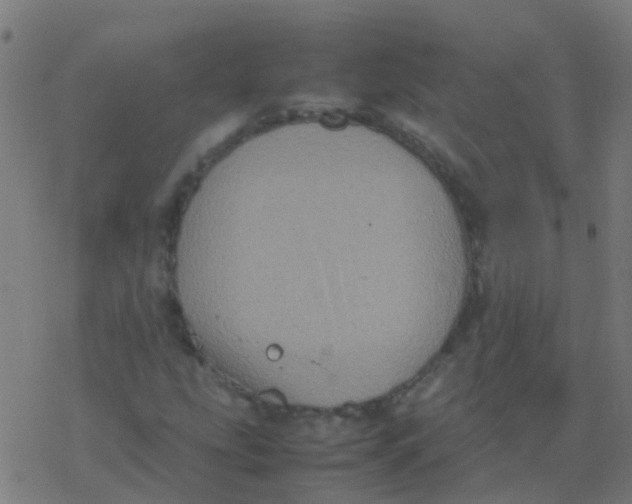 X0000077381207200611101721