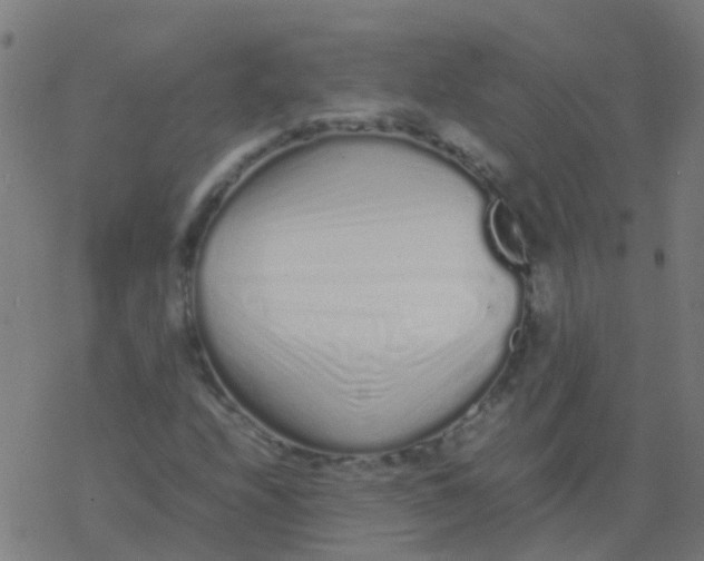 X0000077381208200611101721