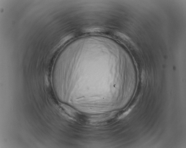 X0000077381209200611101721