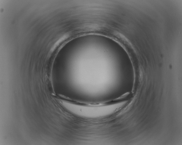 X0000077381210200611101721