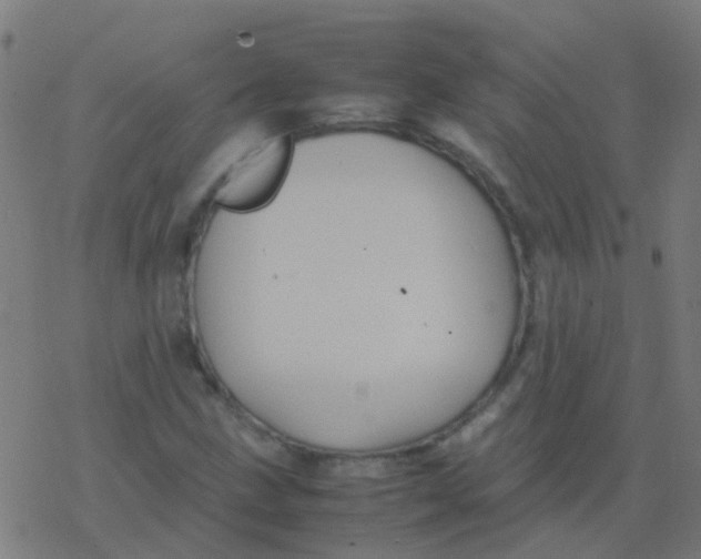 X0000077381211200611101721