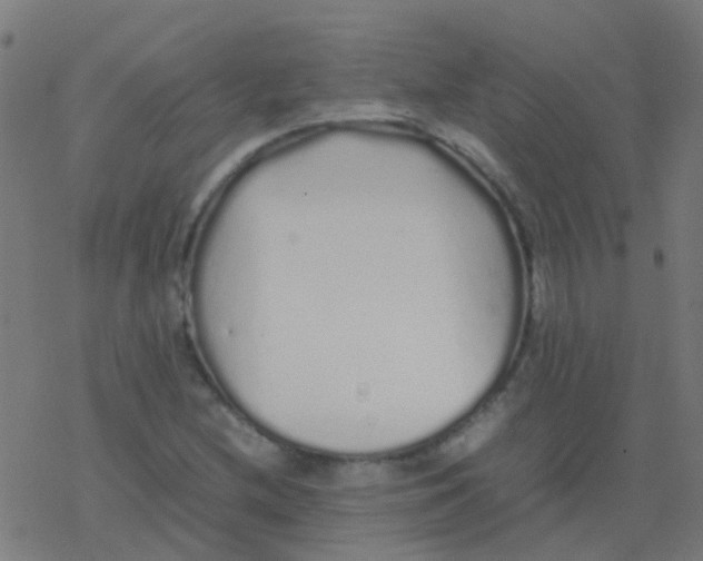 X0000077381212200611101721