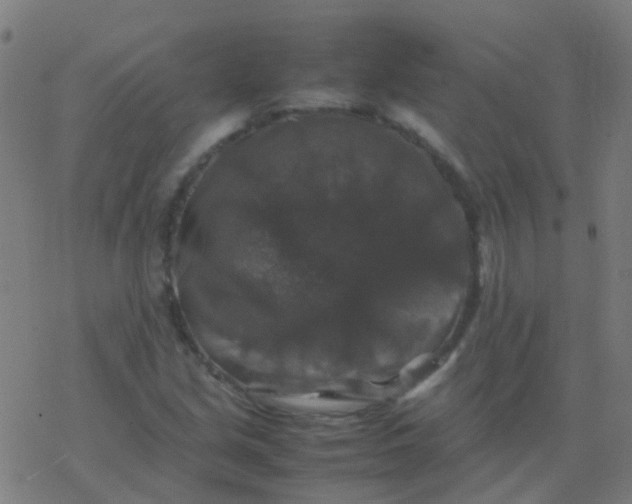 X0000077381213200611101721