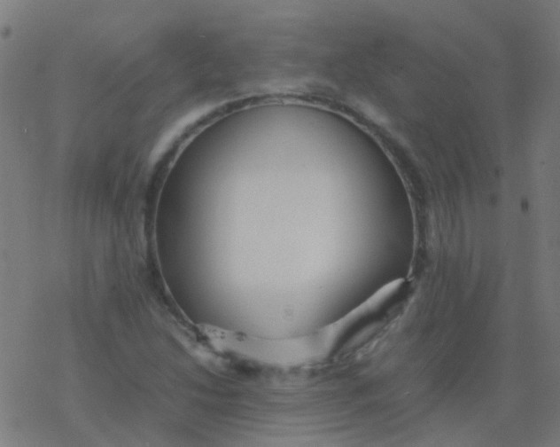 X0000077381214200611101721