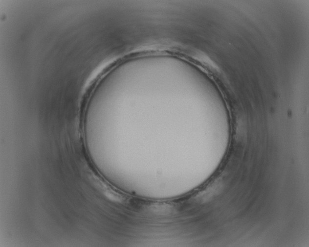 X0000077381216200611101721