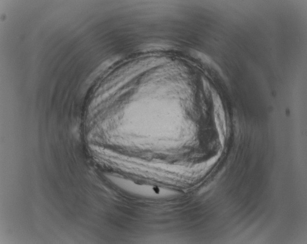 X0000077381217200611101721