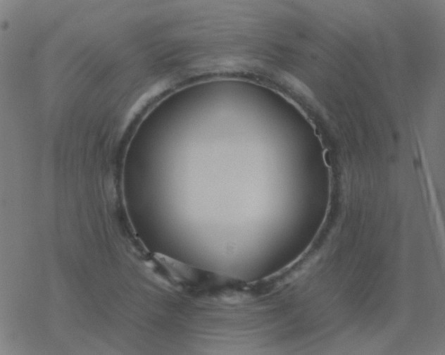 X0000077381218200611101721