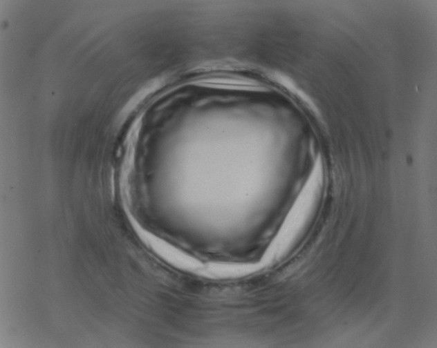 X0000077381221200611101721