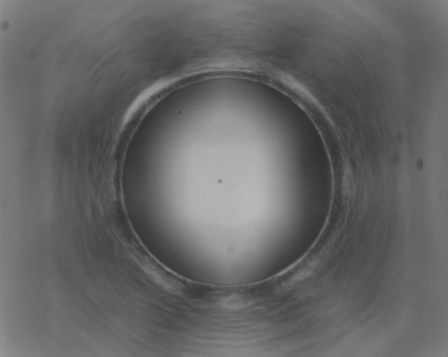 X0000077381222200611101721