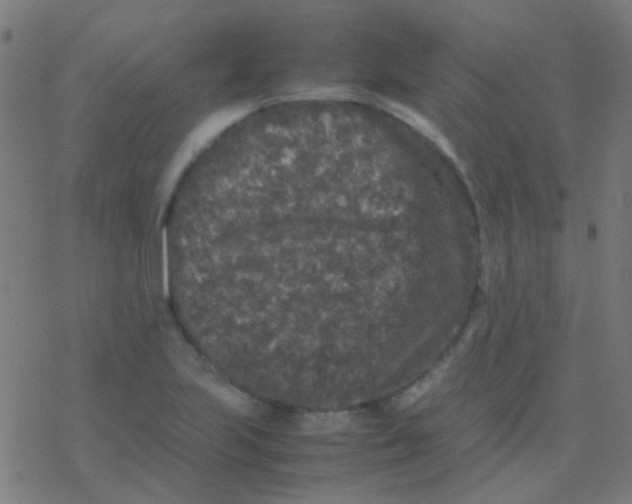 X0000077381223200611101721