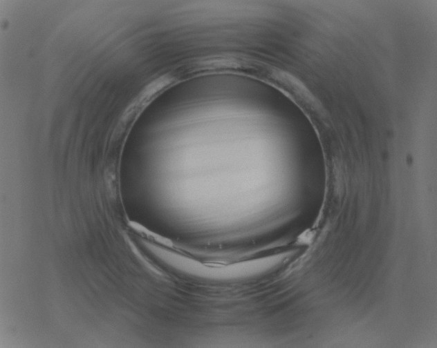 X0000077381225200611101721