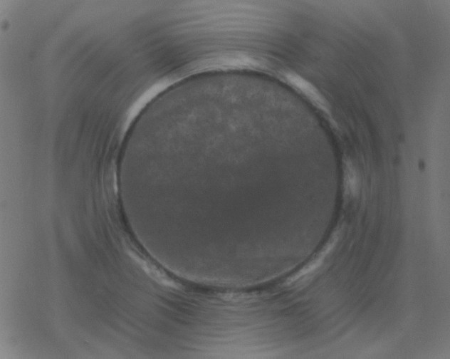 X0000077381226200611101721