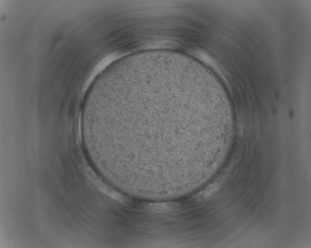 X0000077381227200611101721