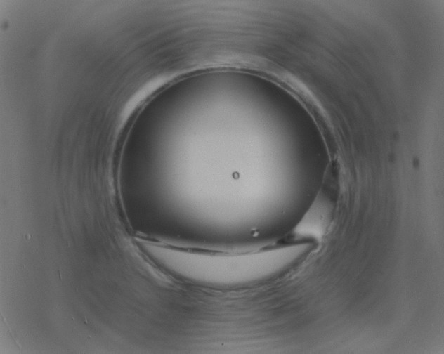 X0000077381230200611101721