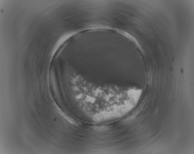 X0000077381231200611101721