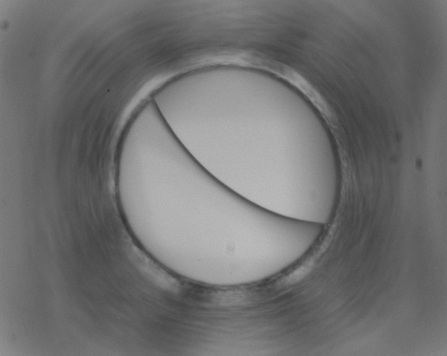 X0000077381232200611101721