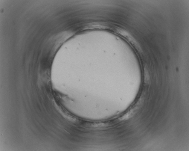 X0000077381233200611101721