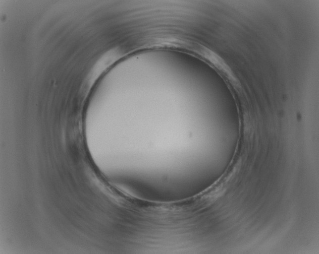 X0000077381234200611101721