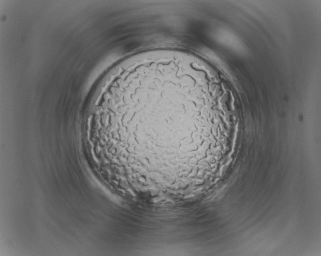 X0000077381235200611101721