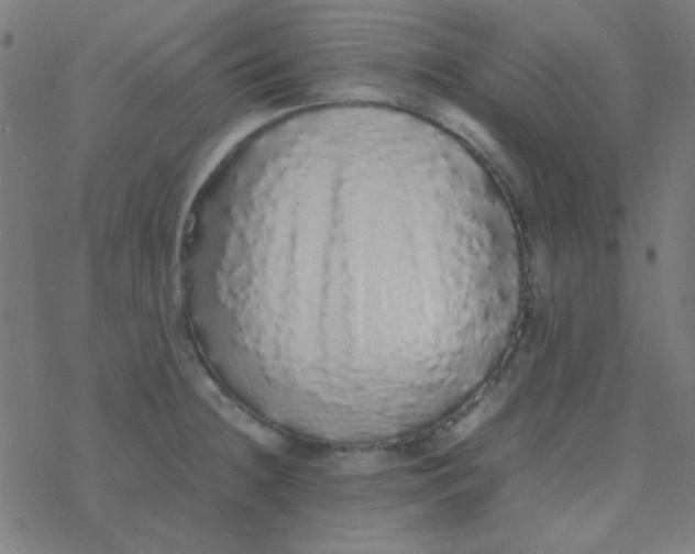 X0000077381236200611101721