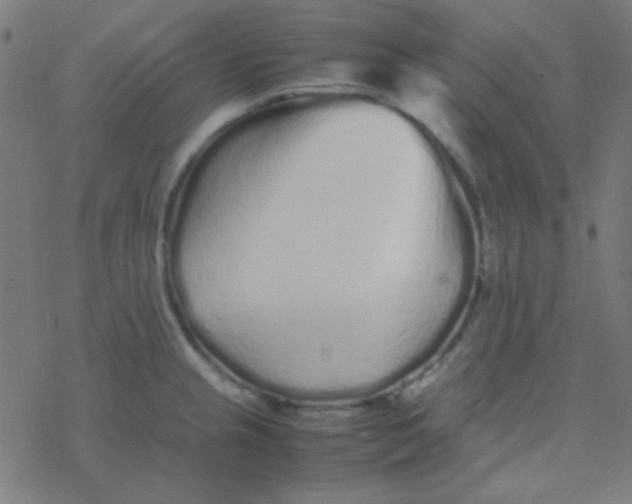 X0000077381237200611101721