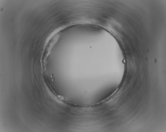 X0000077381238200611101721