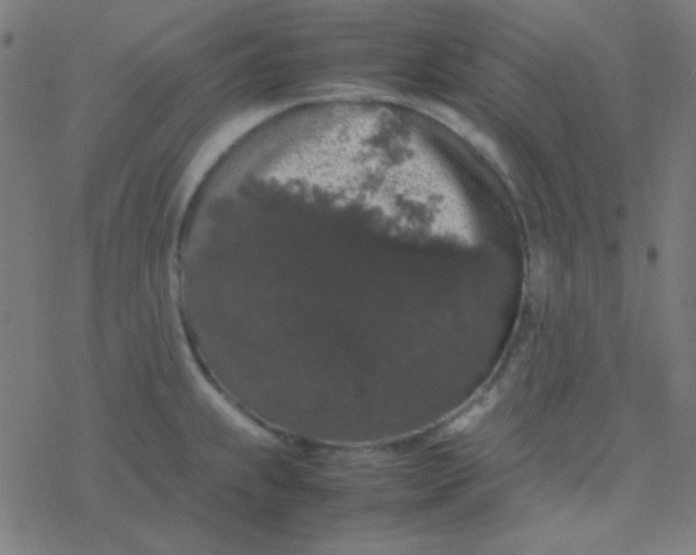 X0000077381239200611101721