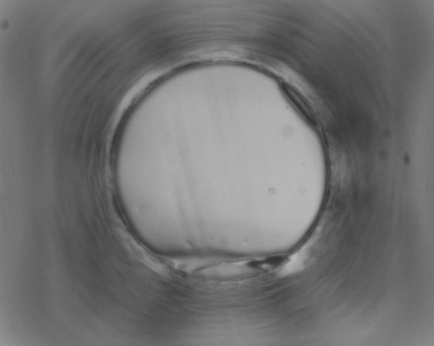 X0000077381240200611101721