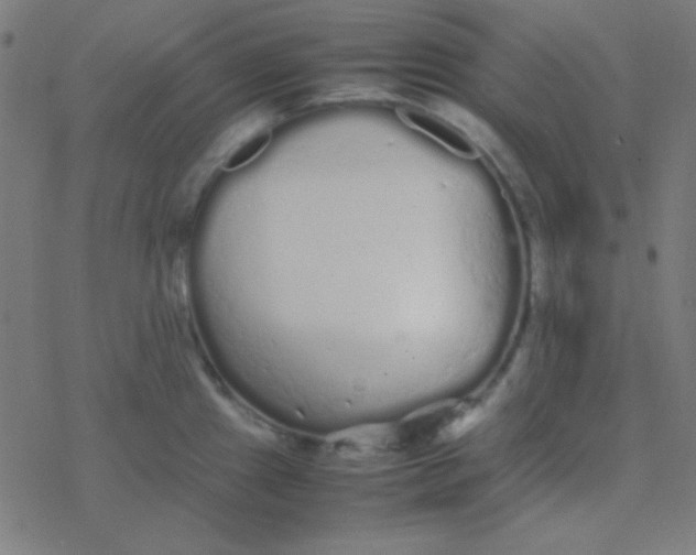 X0000077381241200611101721