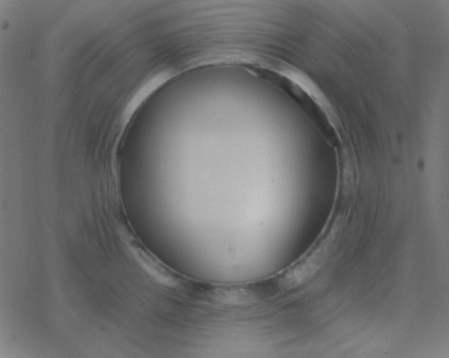 X0000077381242200611101721