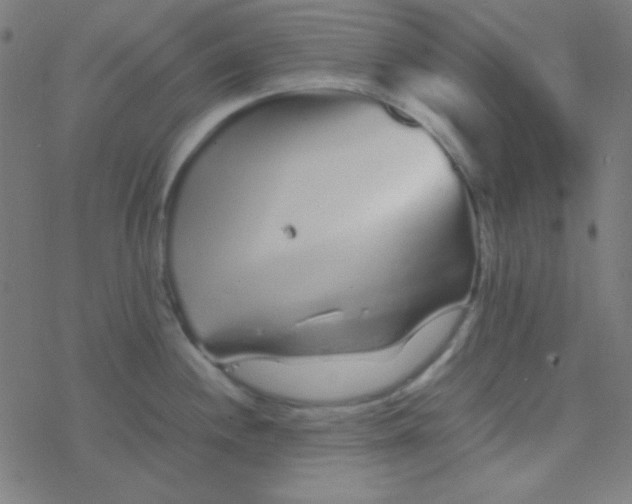 X0000077381244200611101721