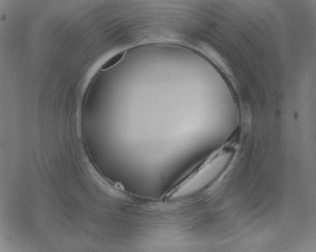 X0000077381246200611101721