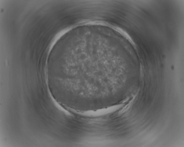 X0000077381247200611101721