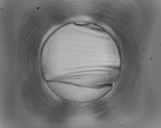 X0000077381248200611101721