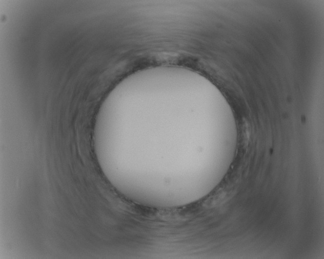 X0000077381249200611101721