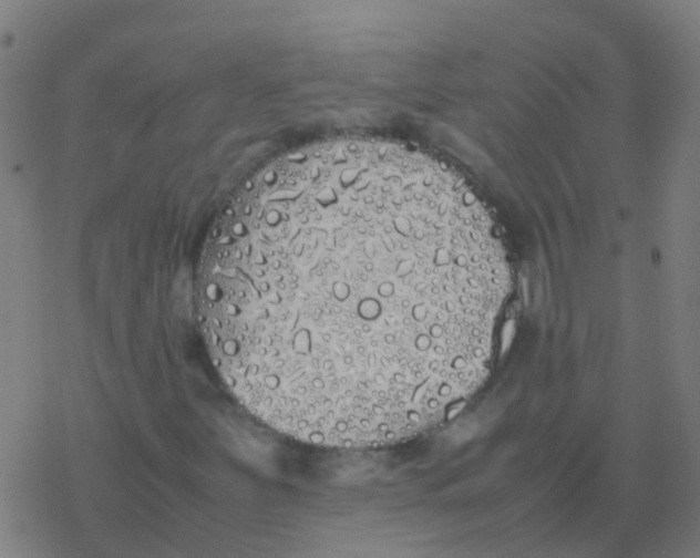 X0000077381251200611101720