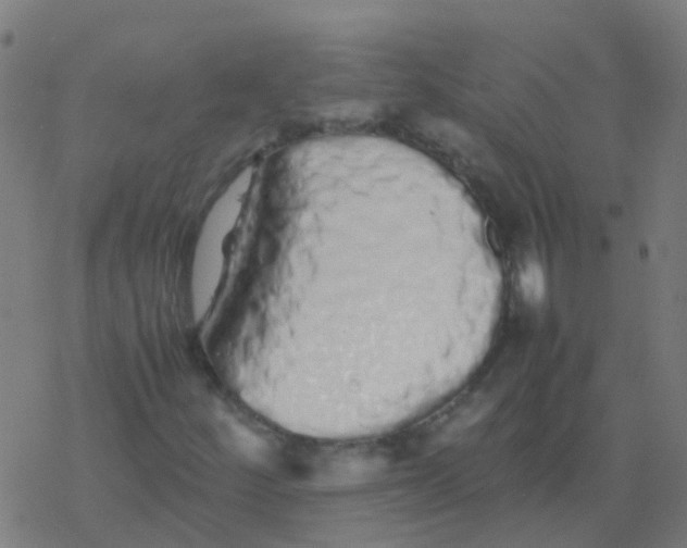 X0000077381252200611101720