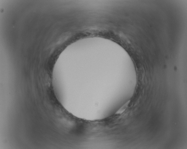 X0000077381253200611101720