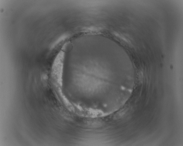 X0000077381254200611101720