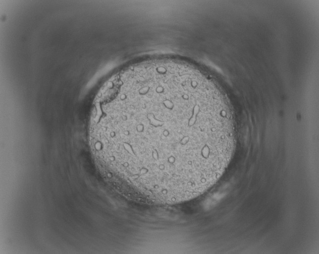 X0000077381255200611101720